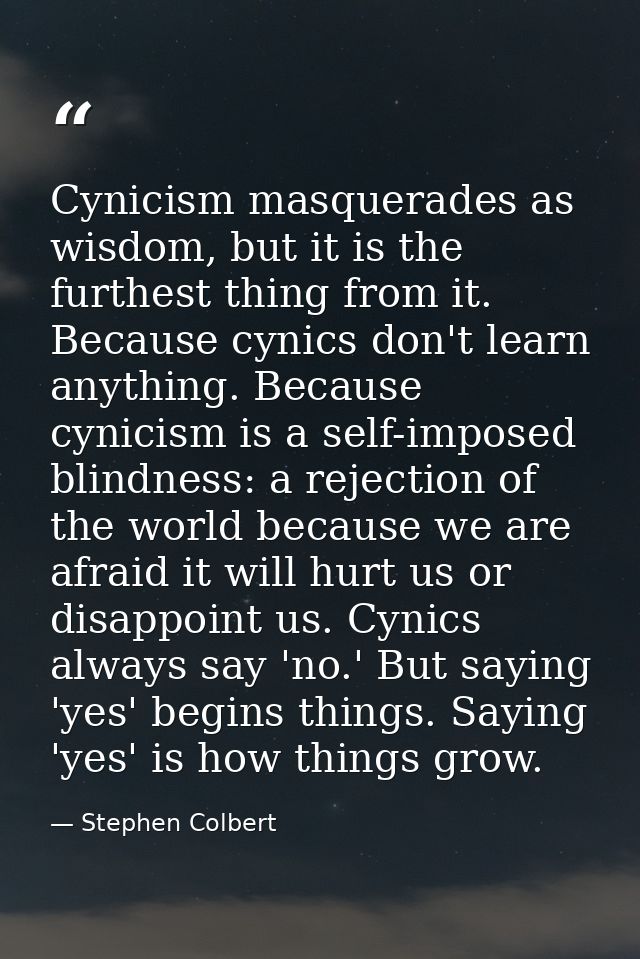 Cynicism masquerades as wisdom, but it is the furthest thing from it. Because cynics don't learn anything. Because cynic — Stephen Colbert