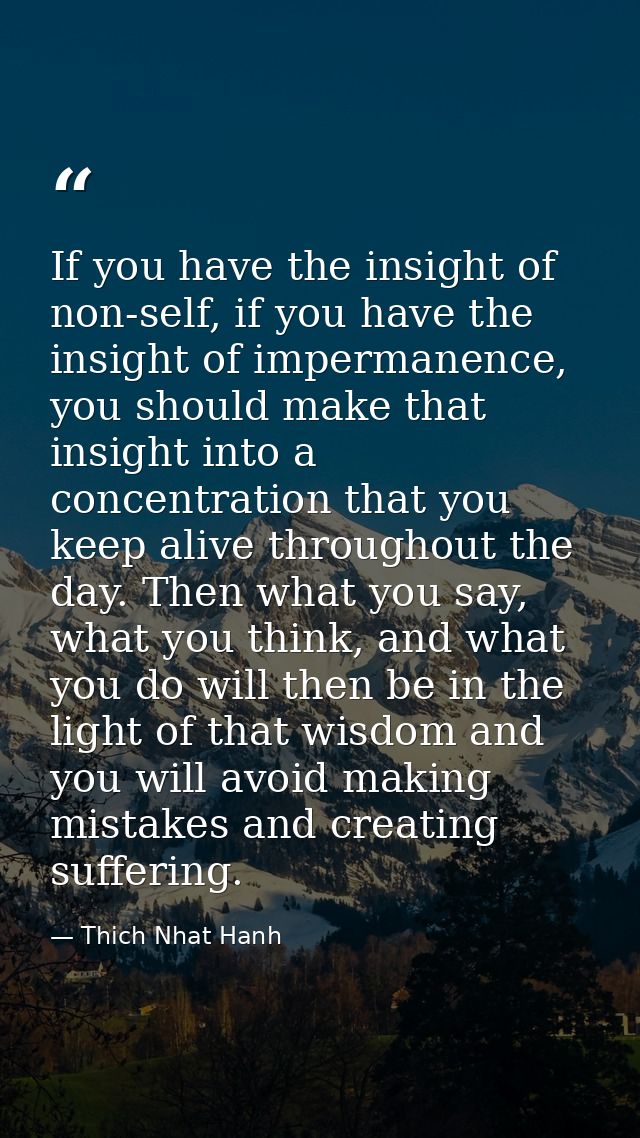 If you have the insight of non-self, if you have the insight of impermanence, you should make that insight into a concen — Thich Nhat Hanh