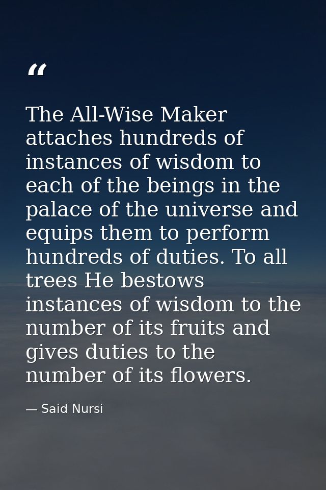 The All-Wise Maker attaches hundreds of instances of wisdom to each of the beings in the palace of the universe and equi — Said Nursi