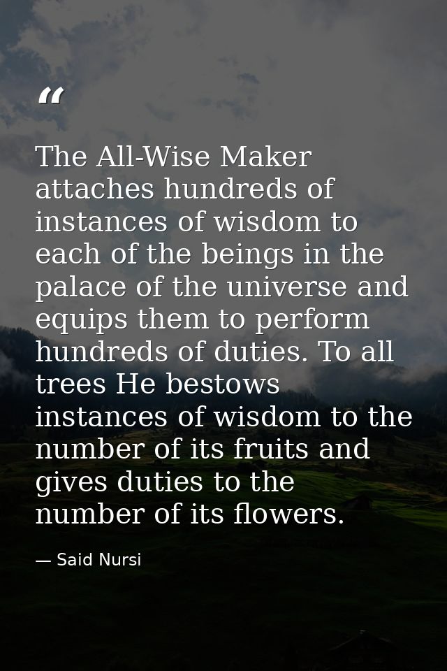The All-Wise Maker attaches hundreds of instances of wisdom to each of the beings in the palace of the universe and equi — Said Nursi