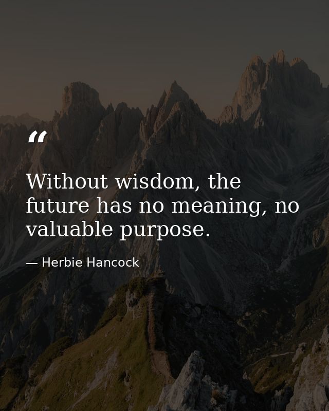 Without wisdom, the future has no meaning, no valuable purpose. — Herbie Hancock