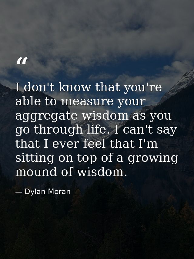 I don't know that you're able to measure your aggregate wisdom as you go through life. I can't say that I ever feel that — Dylan Moran