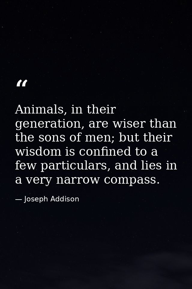 Animals, in their generation, are wiser than the sons of men; but their wisdom is confined to a few particulars, and lie — Joseph Addison