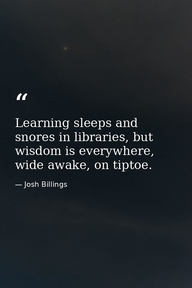Learning sleeps and snores in libraries, but wisdom is everywhere, wide awake, on tiptoe. — Josh Billings