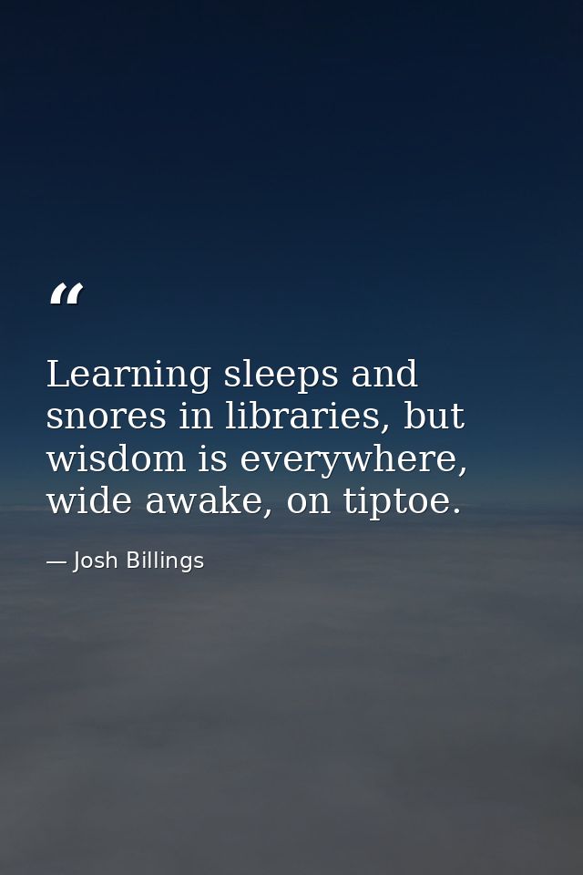 Learning sleeps and snores in libraries, but wisdom is everywhere, wide awake, on tiptoe. — Josh Billings