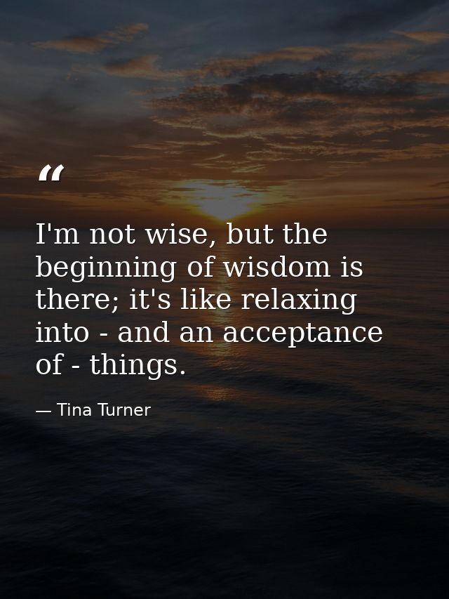 I'm not wise, but the beginning of wisdom is there; it's like relaxing into - and an acceptance of - things. — Tina Turner