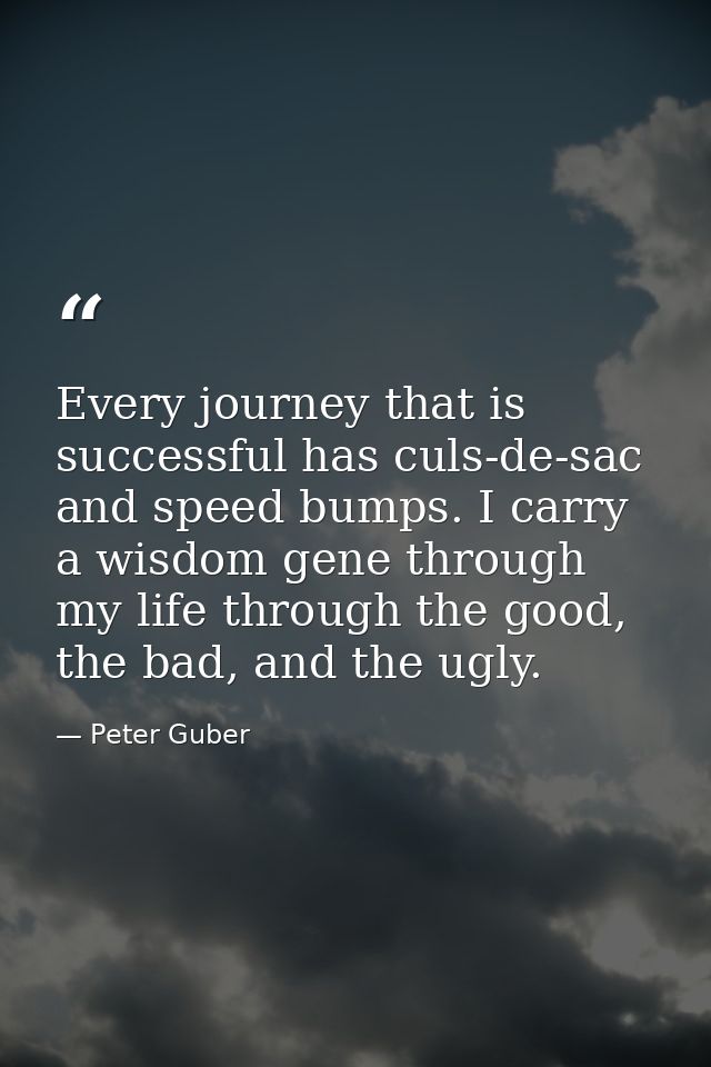 Every journey that is successful has culs-de-sac and speed bumps. I carry a wisdom gene through my life through the good — Peter Guber