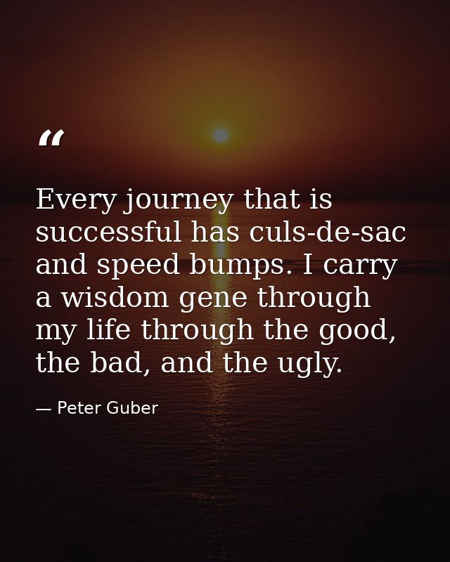 Every journey that is successful has culs-de-sac and speed bumps. I carry a wisdom gene through my life through the good — Peter Guber