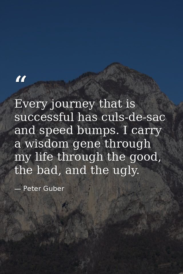 Every journey that is successful has culs-de-sac and speed bumps. I carry a wisdom gene through my life through the good — Peter Guber