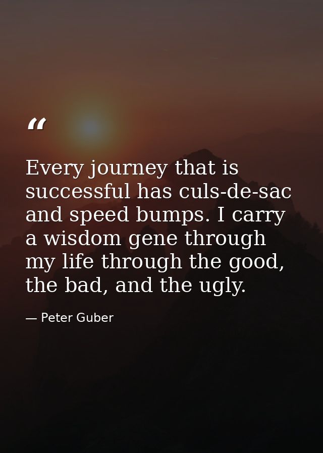 Every journey that is successful has culs-de-sac and speed bumps. I carry a wisdom gene through my life through the good — Peter Guber