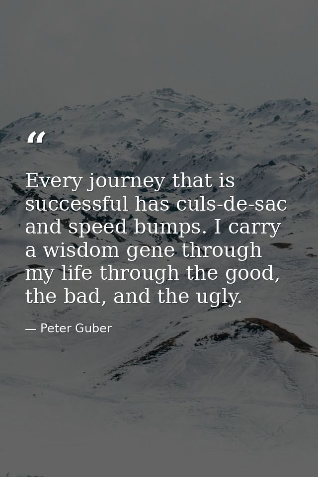 Every journey that is successful has culs-de-sac and speed bumps. I carry a wisdom gene through my life through the good — Peter Guber