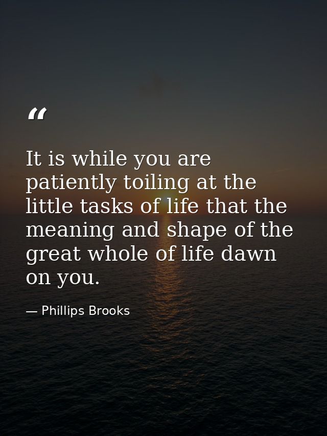 It is while you are patiently toiling at the little tasks of life that the meaning and shape of the great whole of life  — Phillips Brooks
