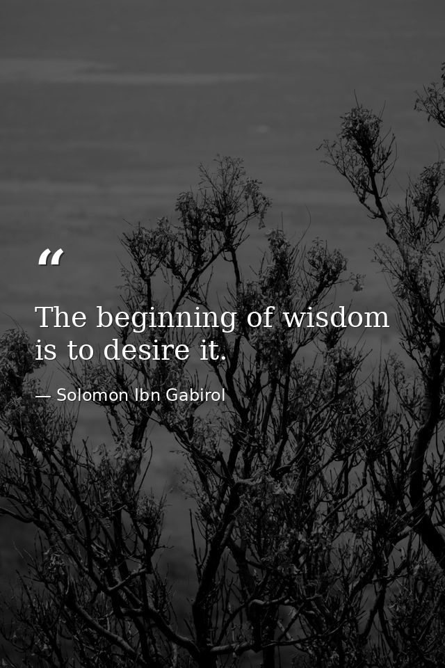 The beginning of wisdom is to desire it. — Solomon Ibn Gabirol