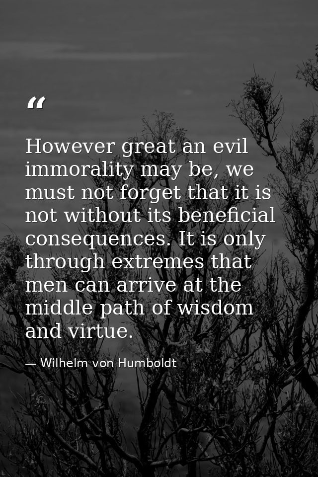 However great an evil immorality may be, we must not forget that it is not without its beneficial consequences. It is on — Wilhelm von Humboldt