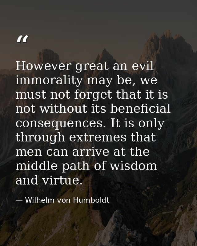 However great an evil immorality may be, we must not forget that it is not without its beneficial consequences. It is on — Wilhelm von Humboldt