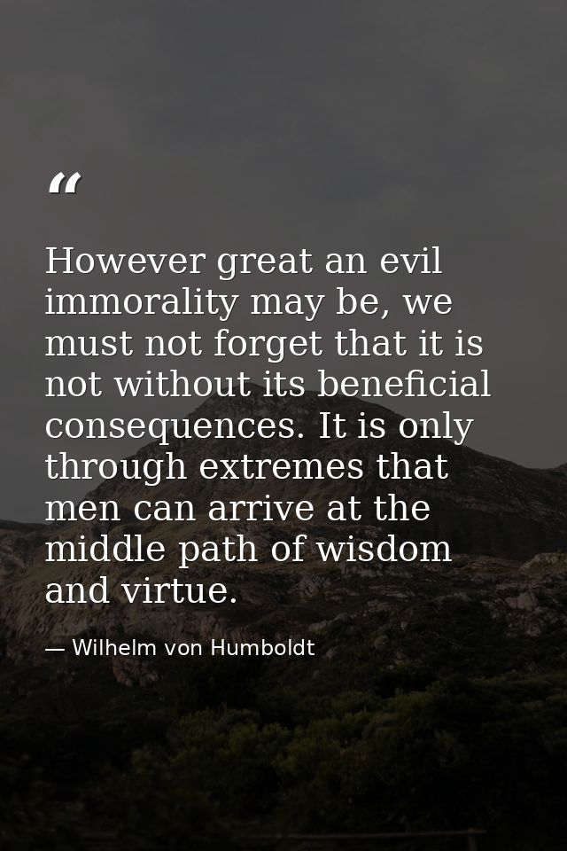 However great an evil immorality may be, we must not forget that it is not without its beneficial consequences. It is on — Wilhelm von Humboldt