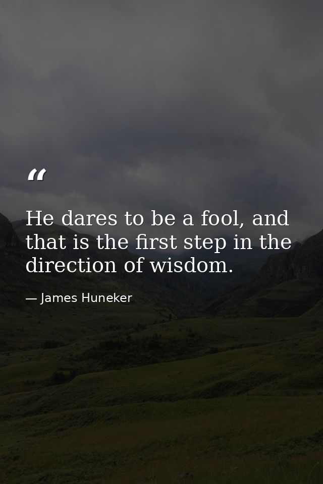He dares to be a fool, and that is the first step in the direction of wisdom. — James Huneker