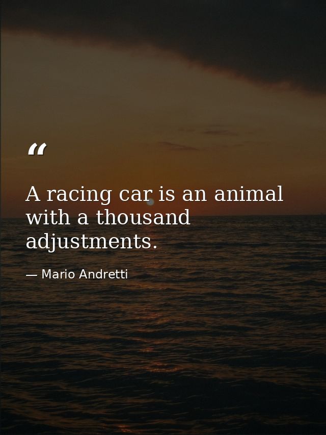 A racing car is an animal with a thousand adjustments. — Mario Andretti