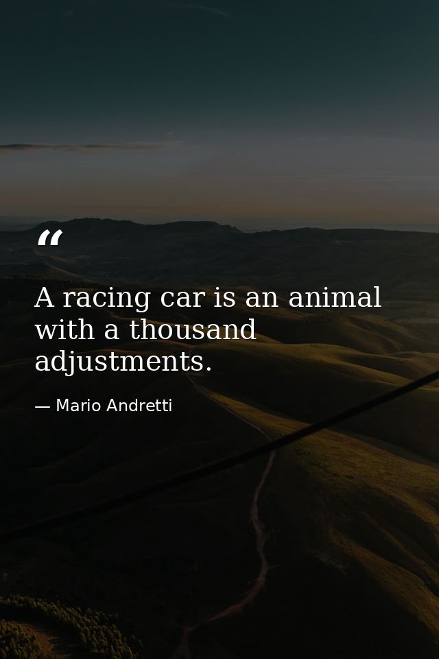 A racing car is an animal with a thousand adjustments. — Mario Andretti