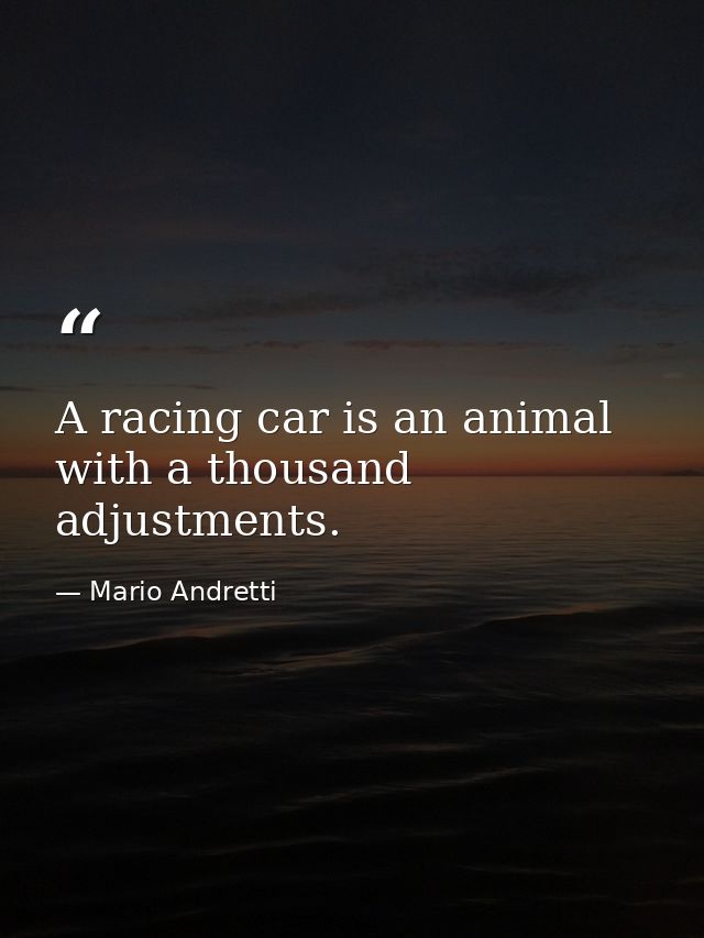 A racing car is an animal with a thousand adjustments. — Mario Andretti