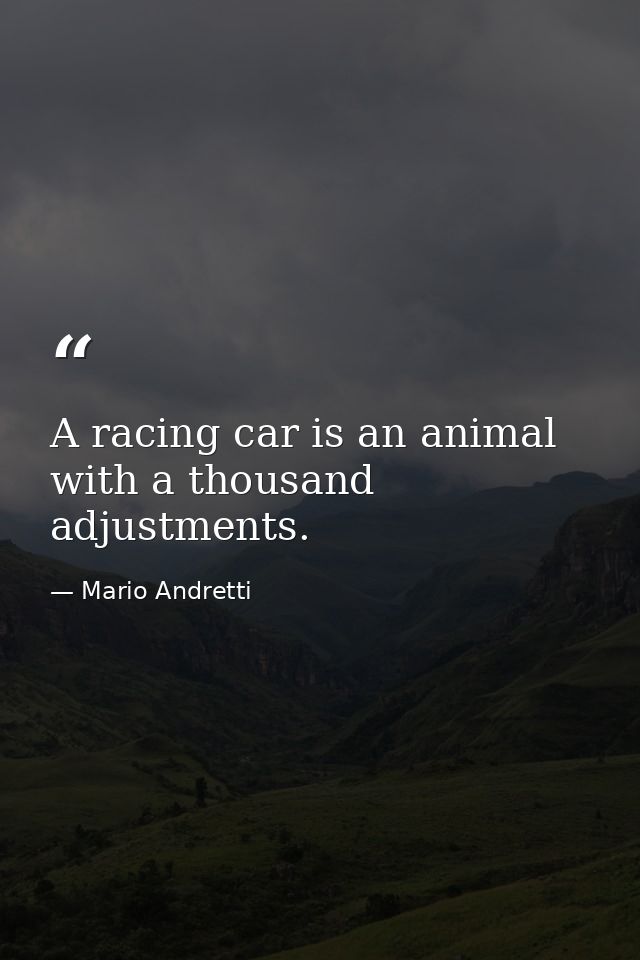 A racing car is an animal with a thousand adjustments. — Mario Andretti