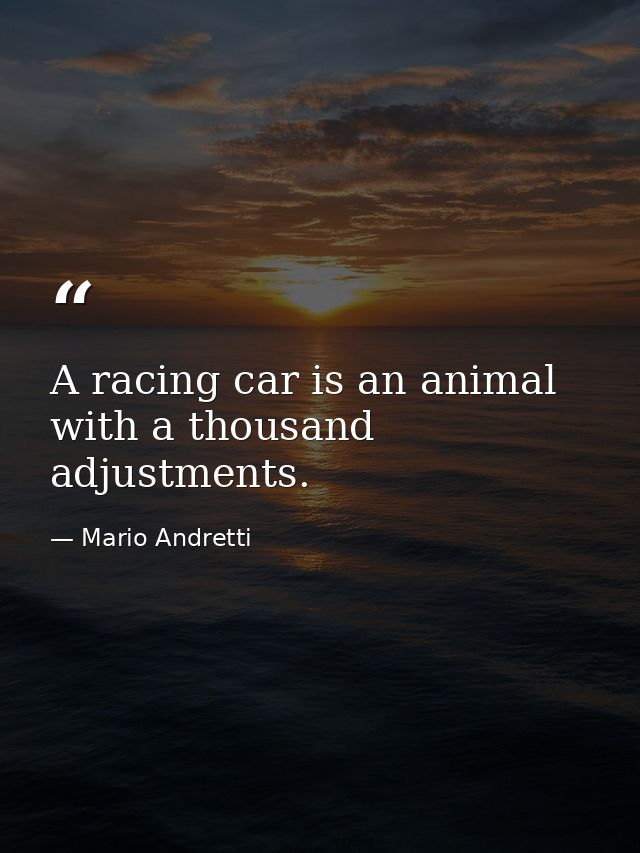 A racing car is an animal with a thousand adjustments. — Mario Andretti