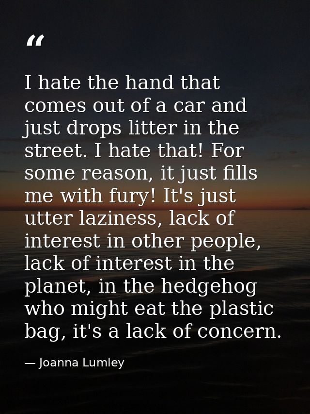 I hate the hand that comes out of a car and just drops litter in the street. I hate that! For some reason, it just fills — Joanna Lumley