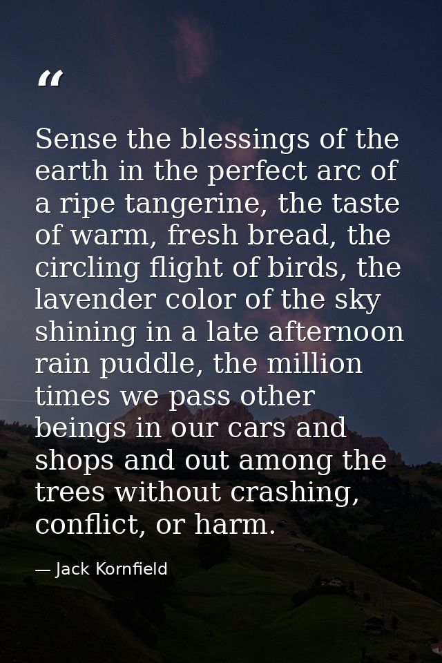 Sense the blessings of the earth in the perfect arc of a ripe tangerine, the taste of warm, fresh bread, the circling fl — Jack Kornfield