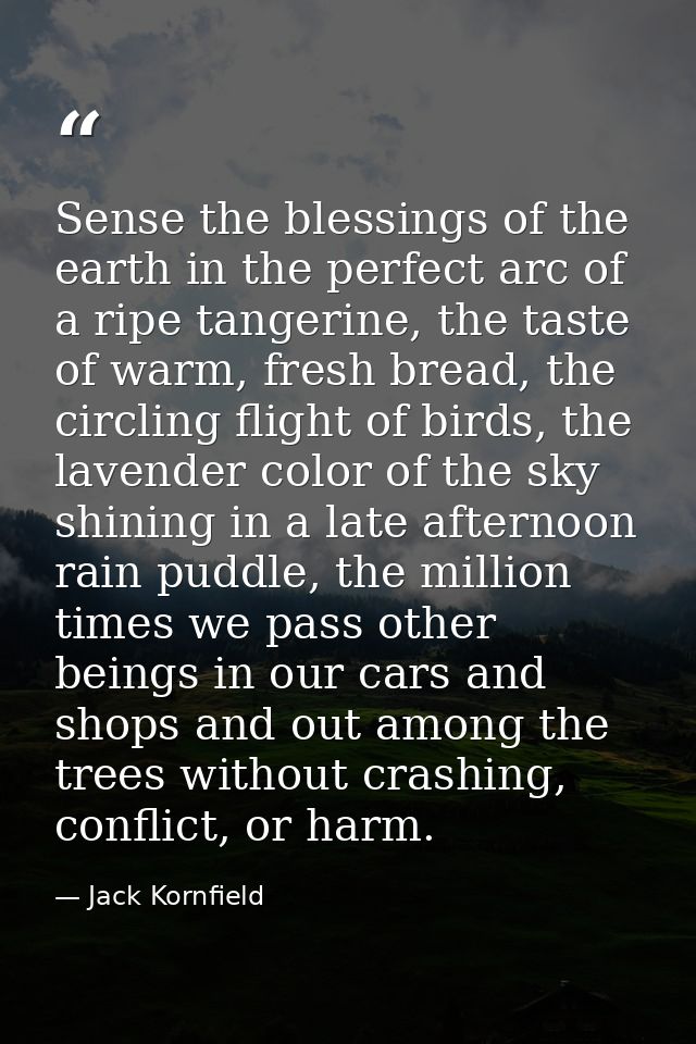 Sense the blessings of the earth in the perfect arc of a ripe tangerine, the taste of warm, fresh bread, the circling fl — Jack Kornfield