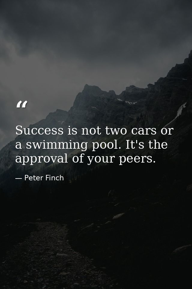 Success is not two cars or a swimming pool. It's the approval of your peers. — Peter Finch
