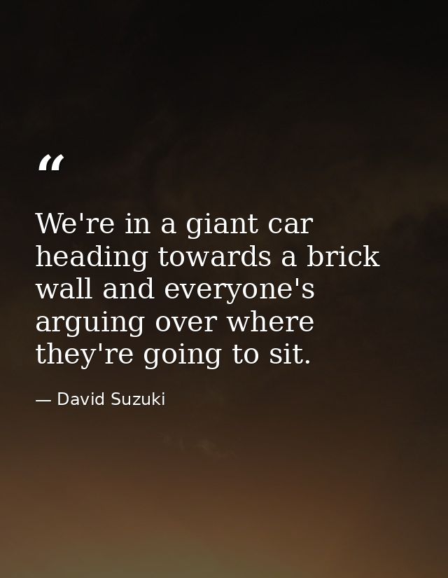 We're in a giant car heading towards a brick wall and everyone's arguing over where they're going to sit. — David Suzuki