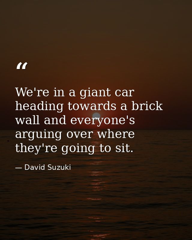 We're in a giant car heading towards a brick wall and everyone's arguing over where they're going to sit. — David Suzuki