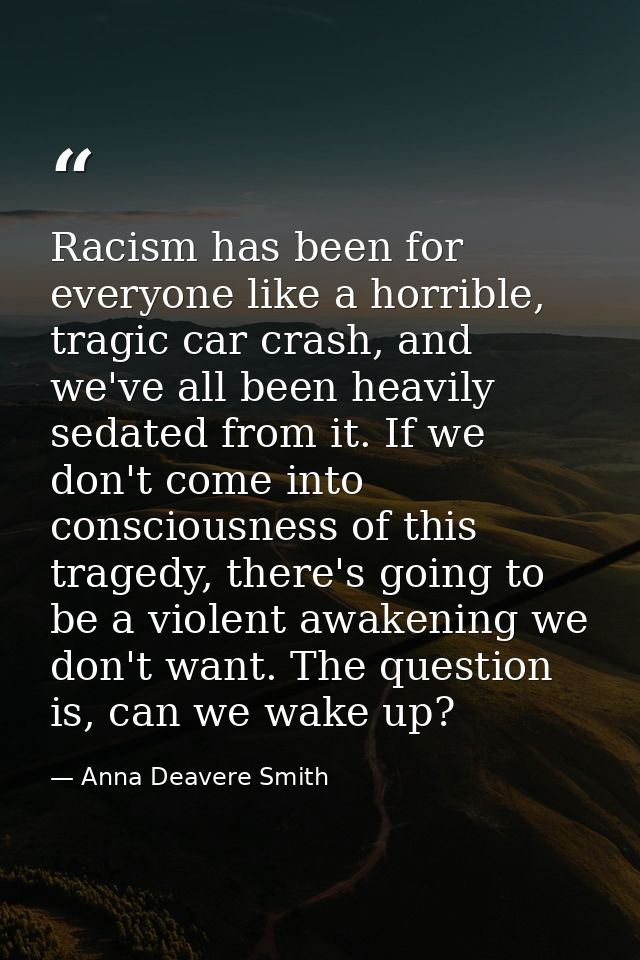 Racism has been for everyone like a horrible, tragic car crash, and we've all been heavily sedated from it. If we don't  — Anna Deavere Smith