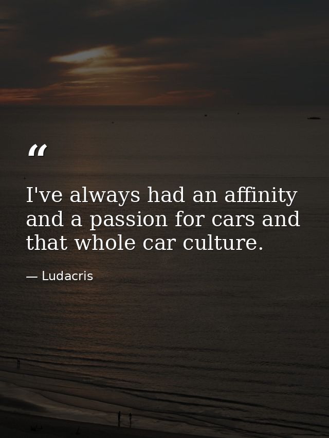 I've always had an affinity and a passion for cars and that whole car culture. — Ludacris