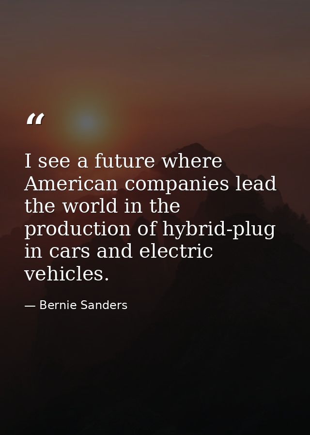 I see a future where American companies lead the world in the production of hybrid-plug in cars and electric vehicles. — Bernie Sanders