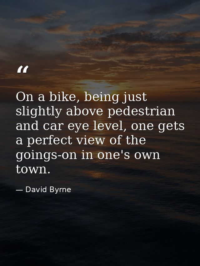 On a bike, being just slightly above pedestrian and car eye level, one gets a perfect view of the goings-on in one's own — David Byrne