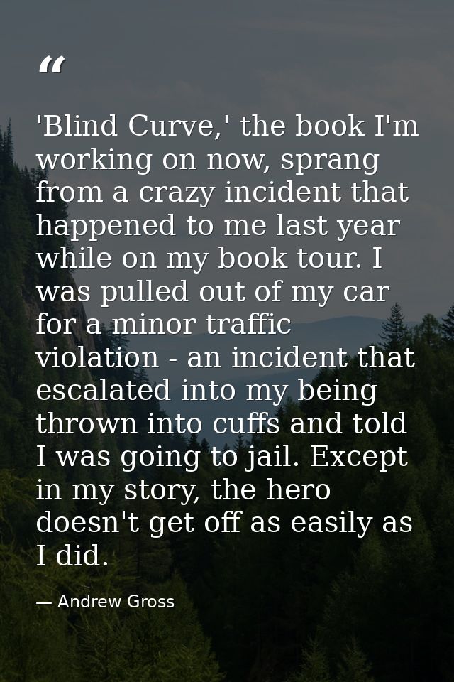 'Blind Curve,' the book I'm working on now, sprang from a crazy incident that happened to me last year while on my book  — Andrew Gross