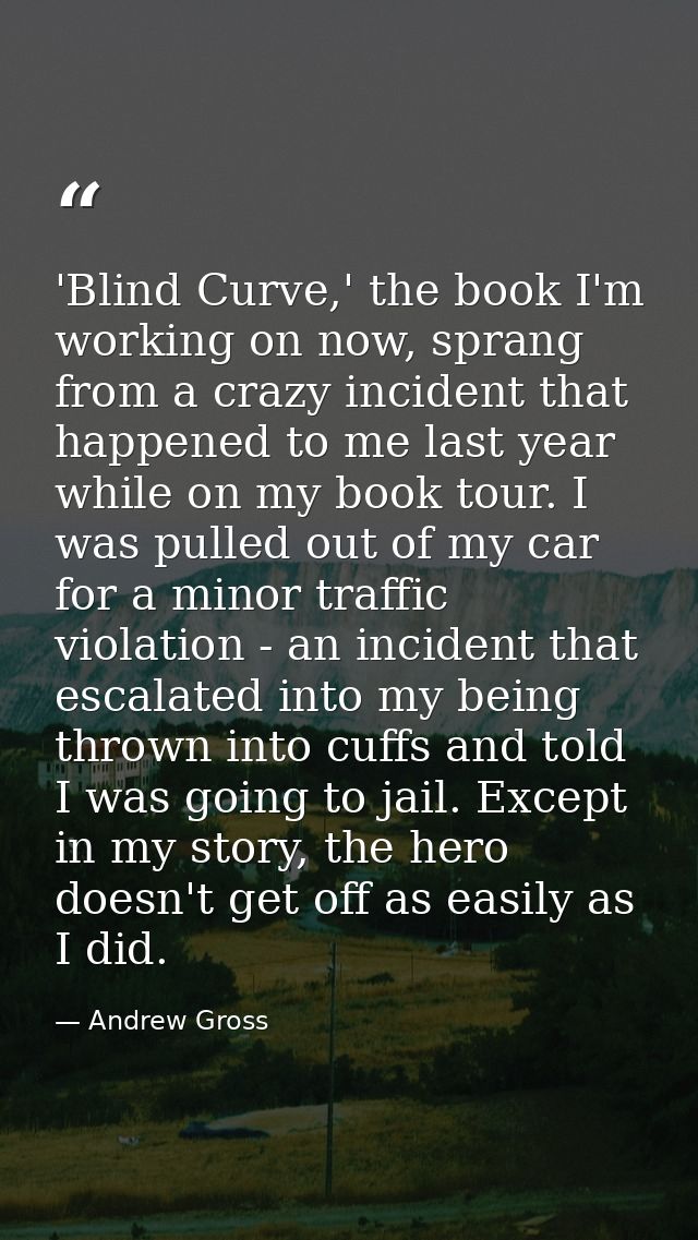 'Blind Curve,' the book I'm working on now, sprang from a crazy incident that happened to me last year while on my book  — Andrew Gross