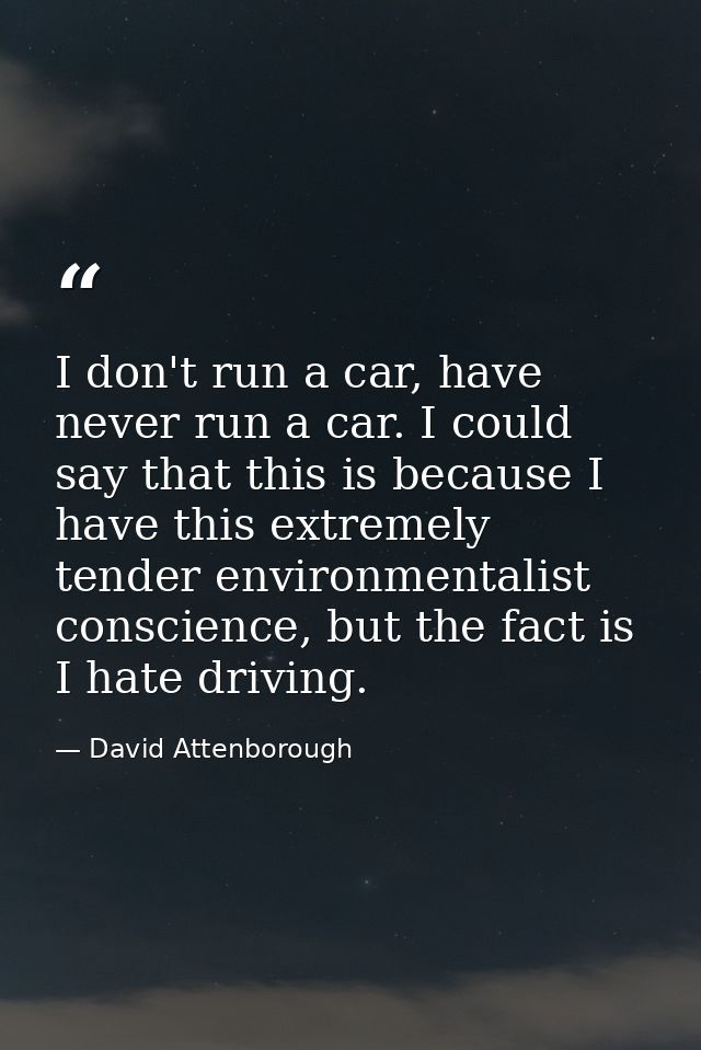 I don't run a car, have never run a car. I could say that this is because I have this extremely tender environmentalist  — David Attenborough
