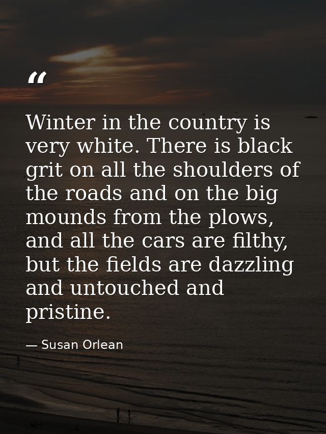 Winter in the country is very white. There is black grit on all the shoulders of the roads and on the big mounds from th — Susan Orlean