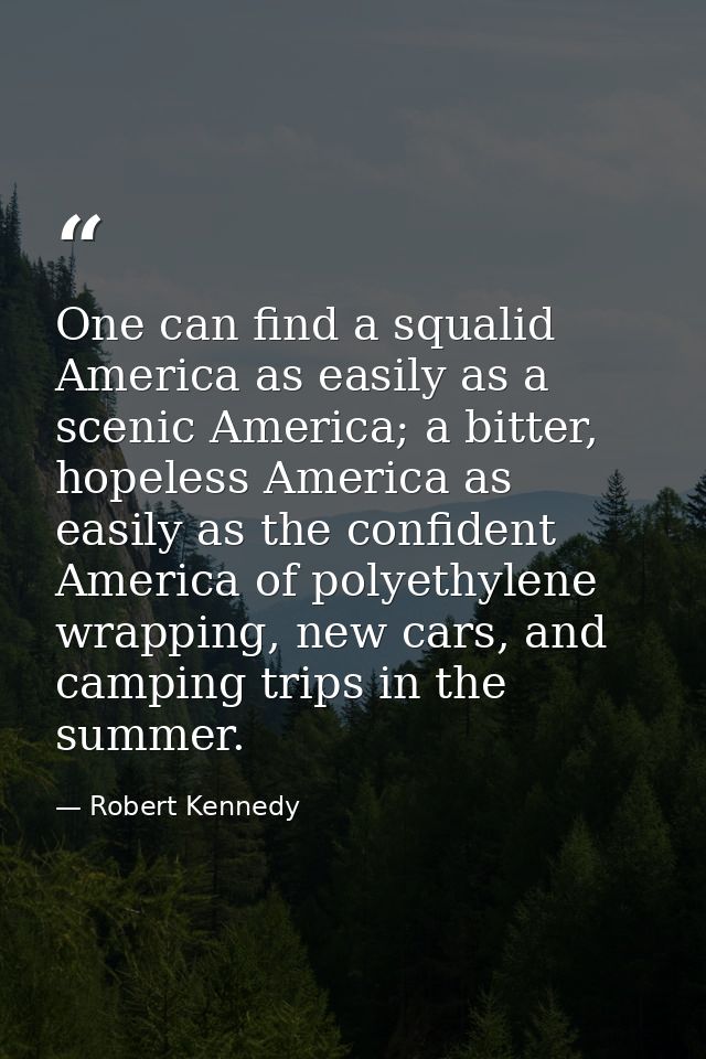One can find a squalid America as easily as a scenic America; a bitter, hopeless America as easily as the confident Amer — Robert Kennedy