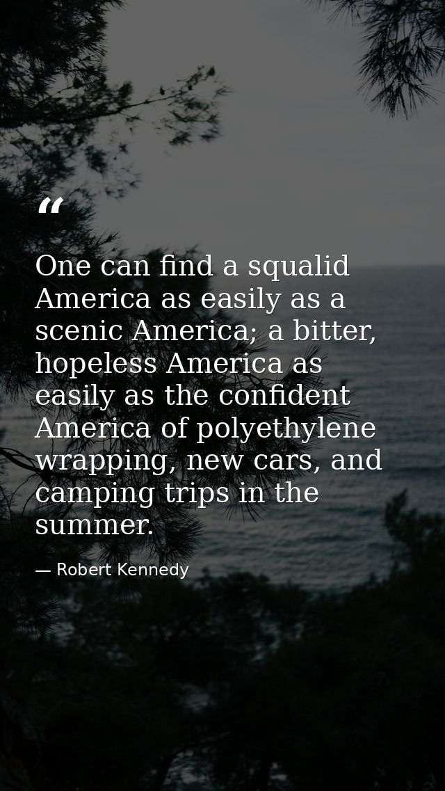 One can find a squalid America as easily as a scenic America; a bitter, hopeless America as easily as the confident Amer — Robert Kennedy