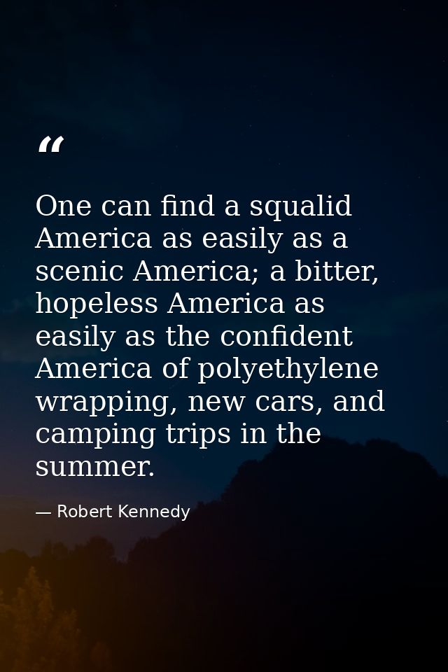 One can find a squalid America as easily as a scenic America; a bitter, hopeless America as easily as the confident Amer — Robert Kennedy