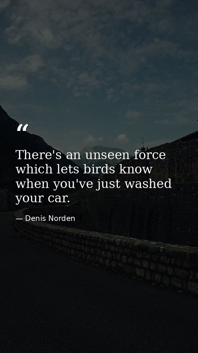 There's an unseen force which lets birds know when you've just washed your car. — Denis Norden