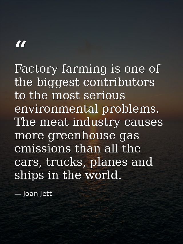 Factory farming is one of the biggest contributors to the most serious environmental problems. The meat industry causes  — Joan Jett