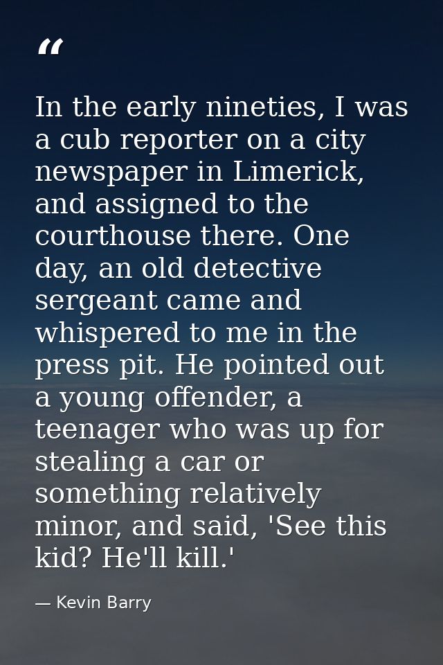 In the early nineties, I was a cub reporter on a city newspaper in Limerick, and assigned to the courthouse there. One d — Kevin Barry