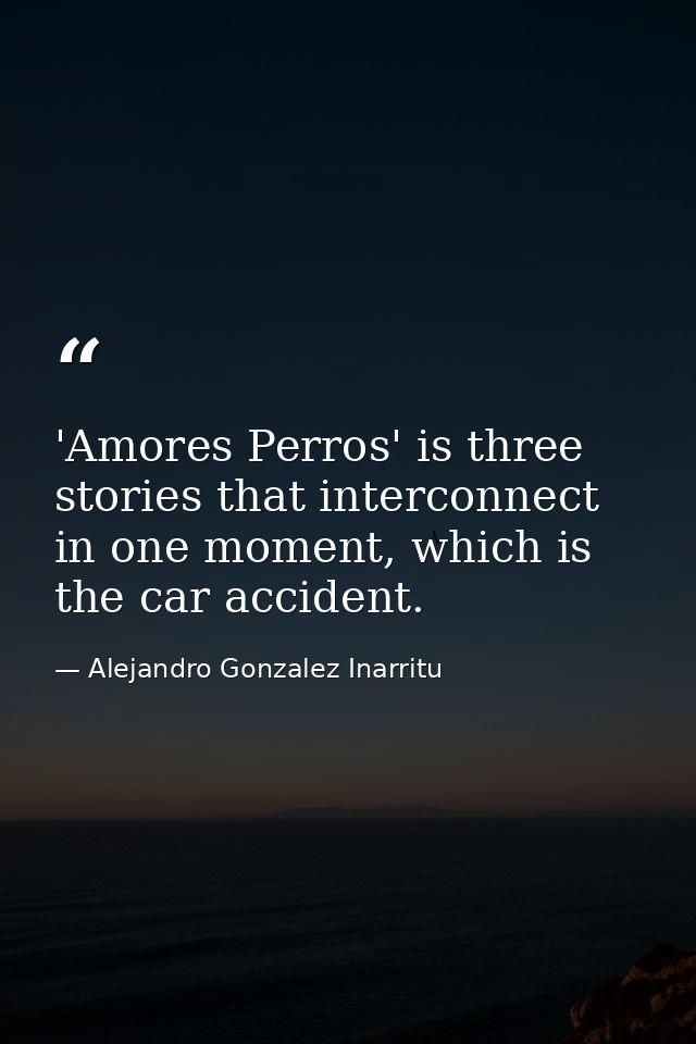 'Amores Perros' is three stories that interconnect in one moment, which is the car accident. — Alejandro Gonzalez Inarritu