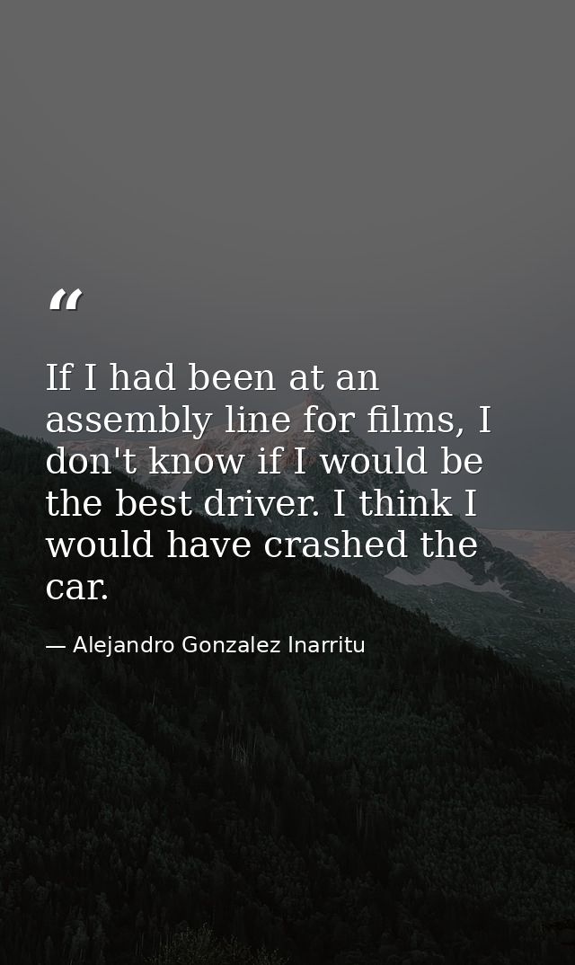 If I had been at an assembly line for films, I don't know if I would be the best driver. I think I would have crashed th — Alejandro Gonzalez Inarritu