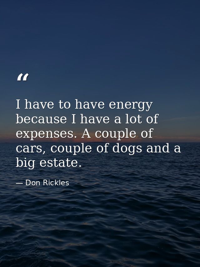 I have to have energy because I have a lot of expenses. A couple of cars, couple of dogs and a big estate. — Don Rickles