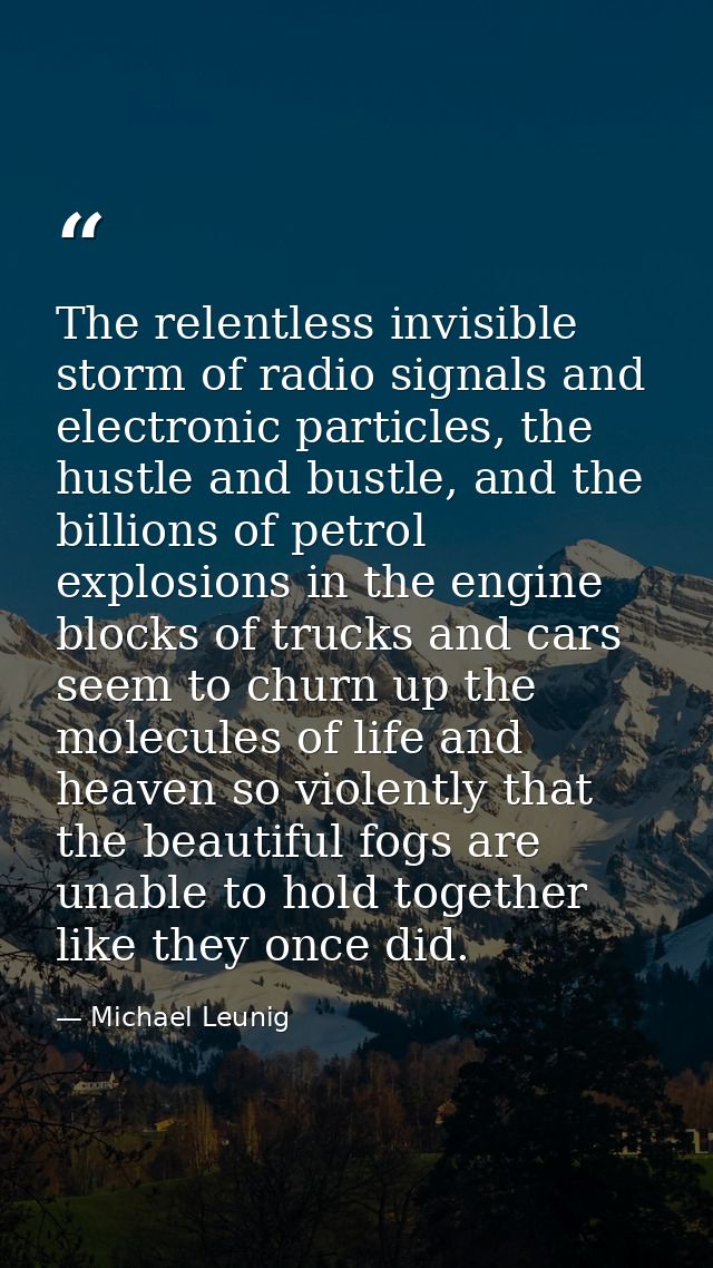 The relentless invisible storm of radio signals and electronic particles, the hustle and bustle, and the billions of pet — Michael Leunig